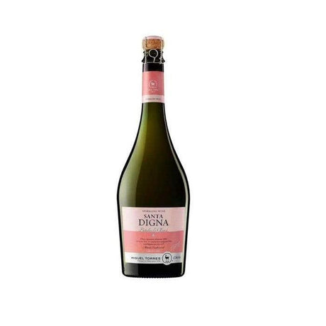Vinosylicores.com