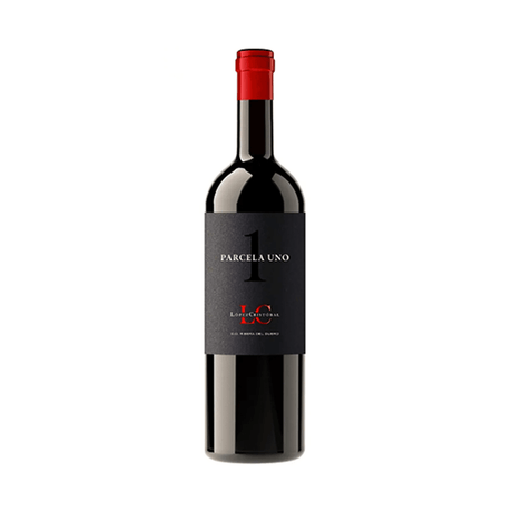 Vinosylicores.com