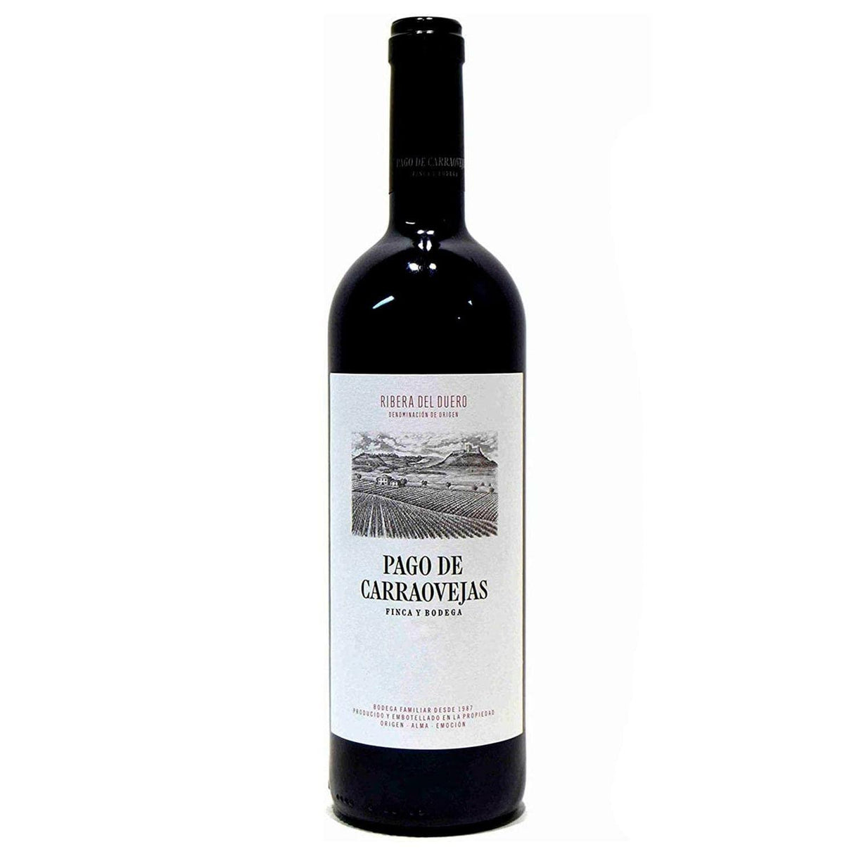 Vinosylicores.com