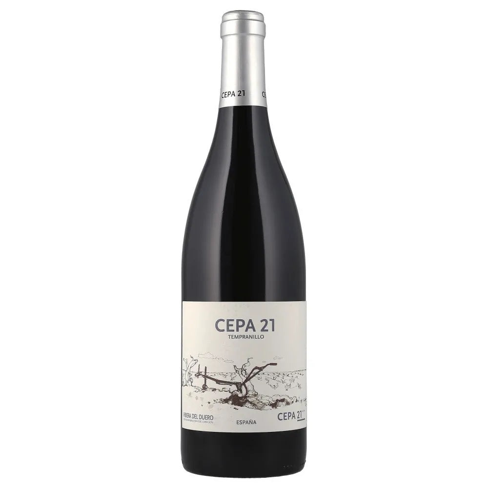 Vinosylicores.com