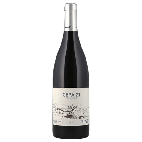 Vinosylicores.com