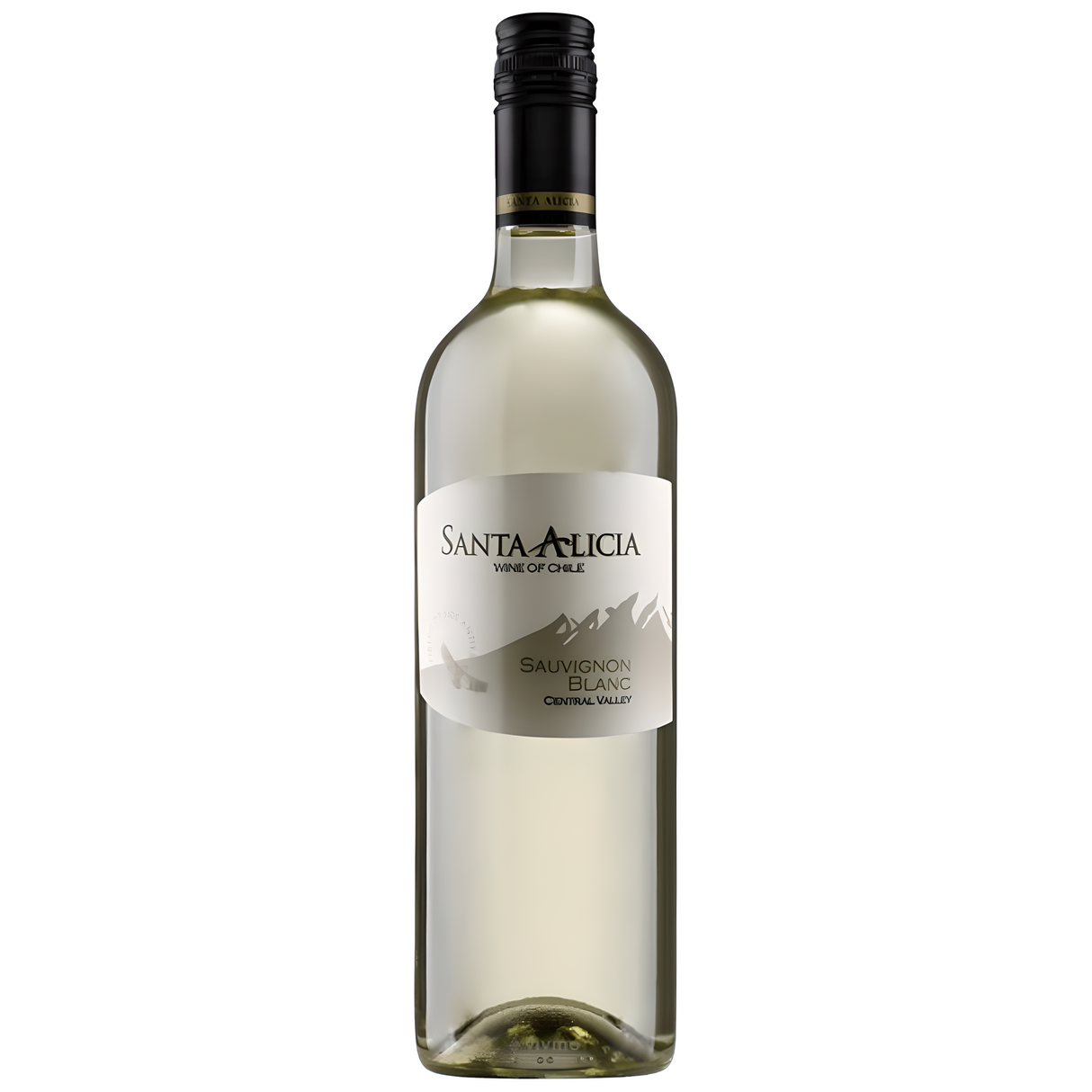 Vinosylicores.com