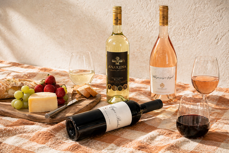 Vinosylicores.com
