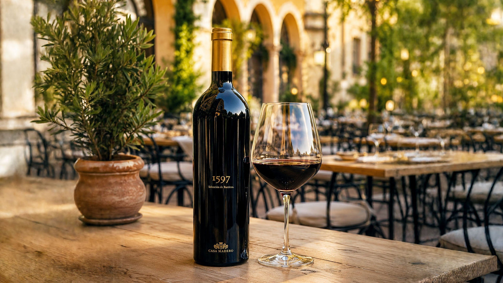 Vinosylicores.com