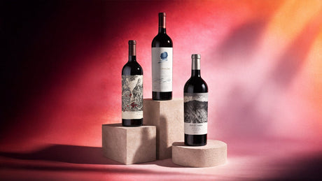 Vinosylicores.com