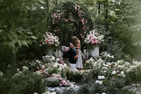 ¿Qué bebidas podrían acompañar la boda de Taylor Swift?