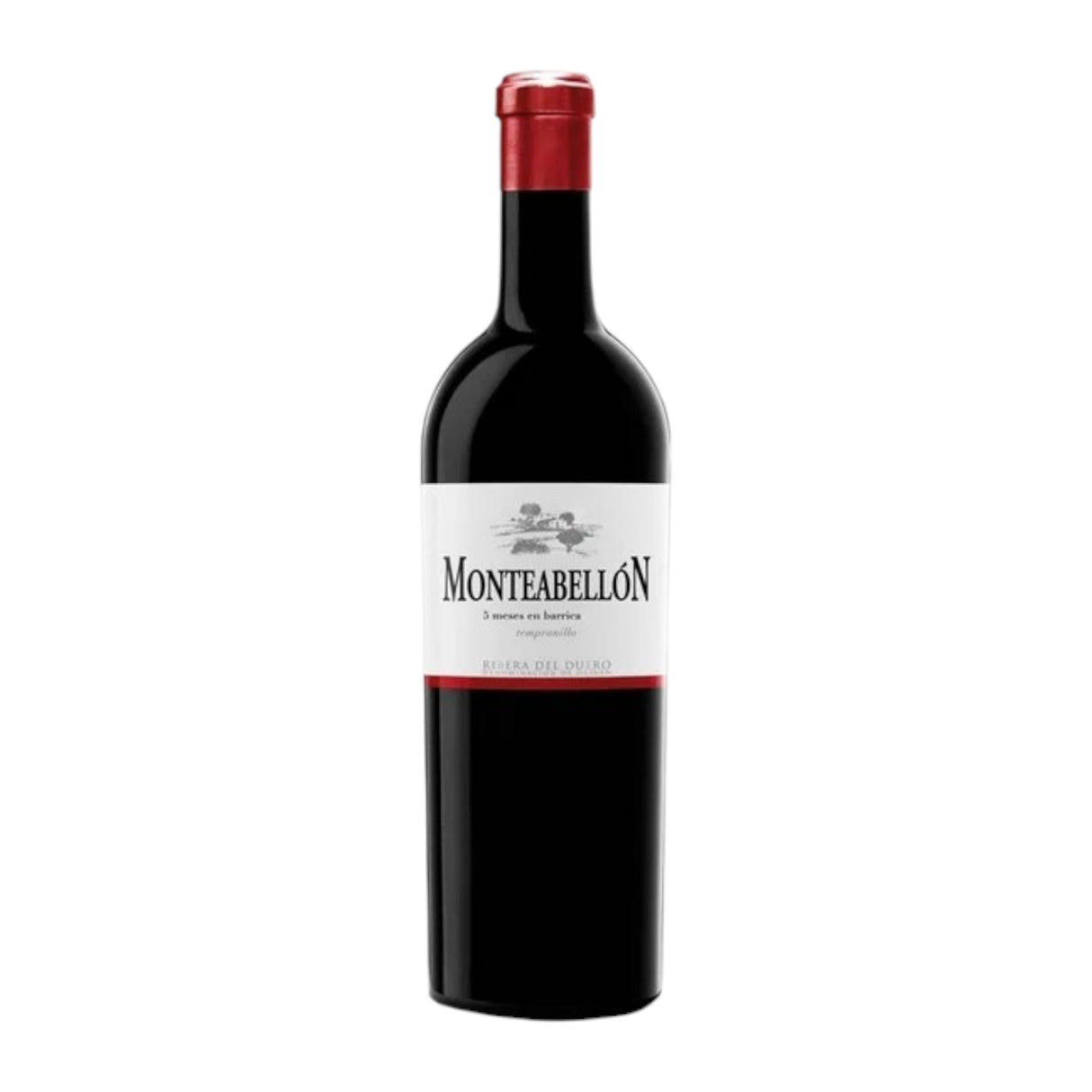 Monteabellon Tempranillo Red Wine 750ml