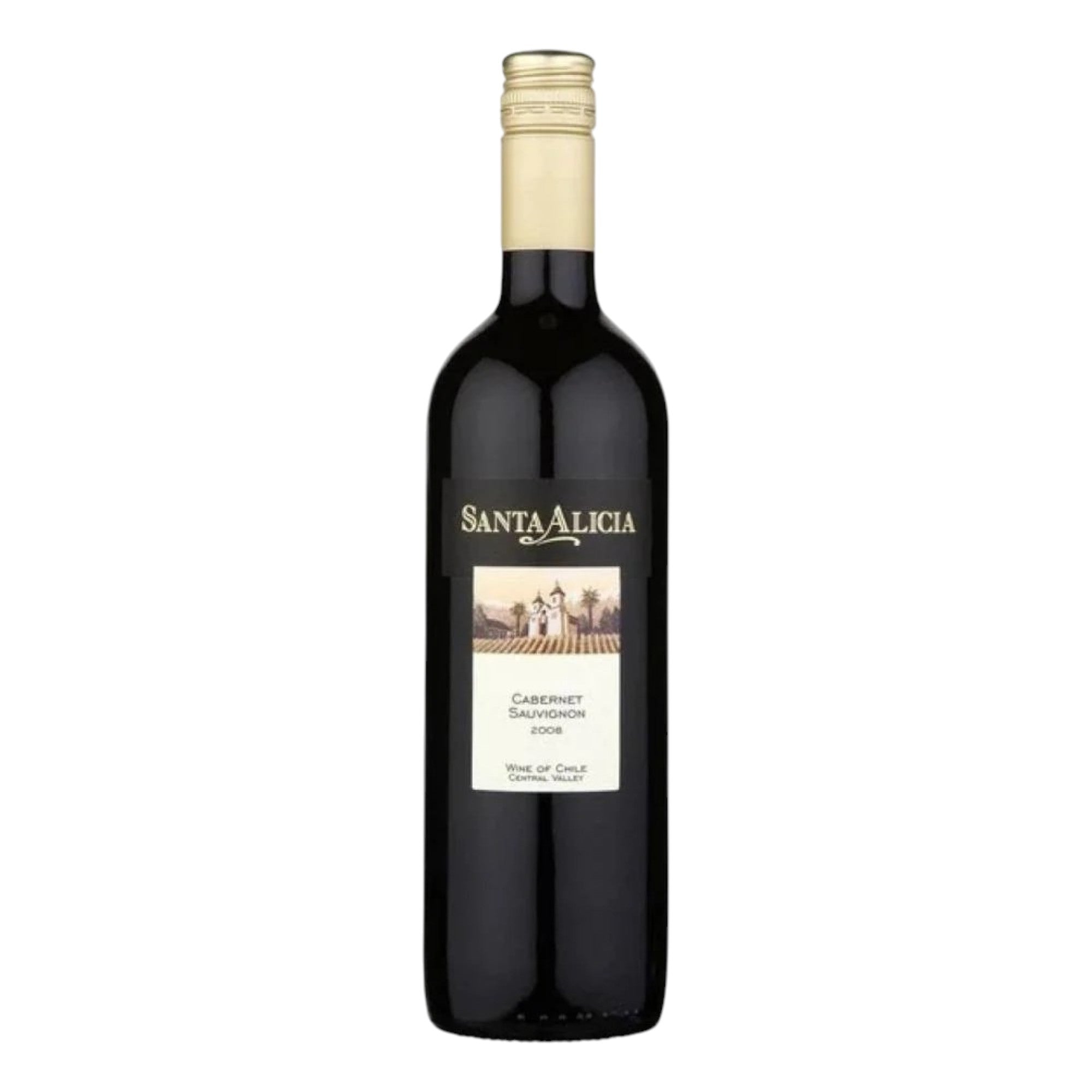 Santa Alicia Cabernet Sauvignon Red Wine 750ml – Vinosyli