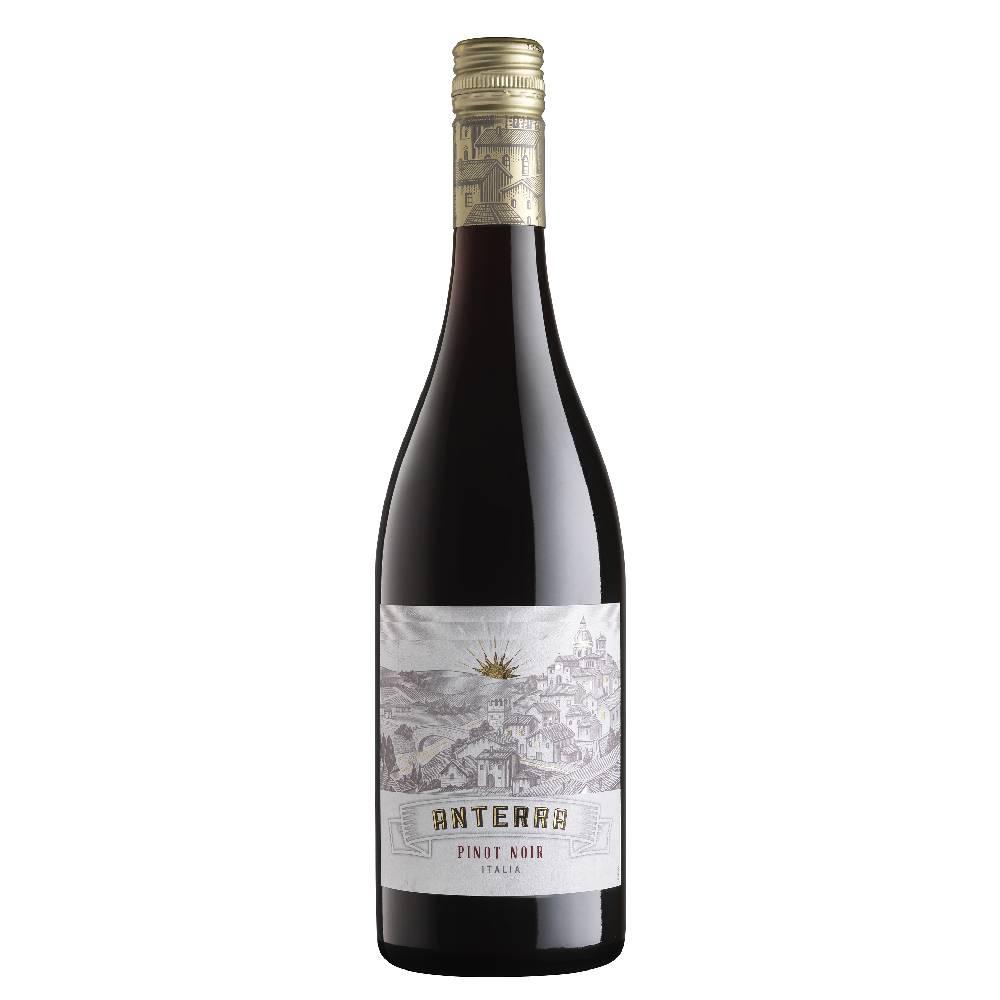 赤ワイン　アルノーアント　Pinot Noir 2017 750ml 楽天市場】【5月限定特価】アルノー アント ブルゴーニュ ルージュ
