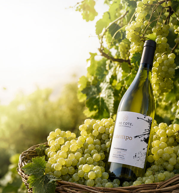 Vinosylicores.com