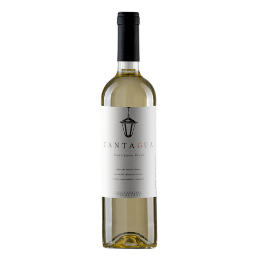 VINO BLANCO CANTAGUA SAUVIGNON BLANC 750ML - Vinosylicores.com