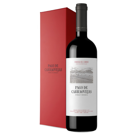 Vinosylicores.com