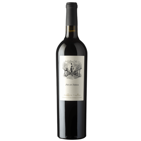Vinosylicores.com