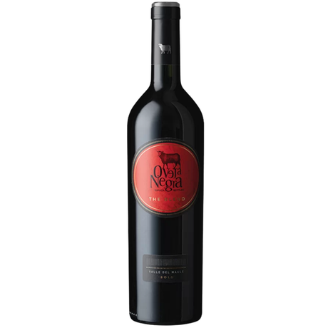 Vinosylicores.com