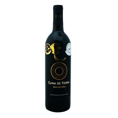 VINO TINTO CUNA DE TIERRA PAGO DE VEGA 750ML - Vinosylicores.com