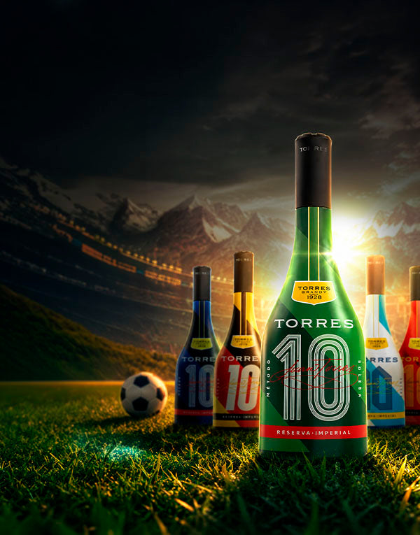 Vinosylicores.com