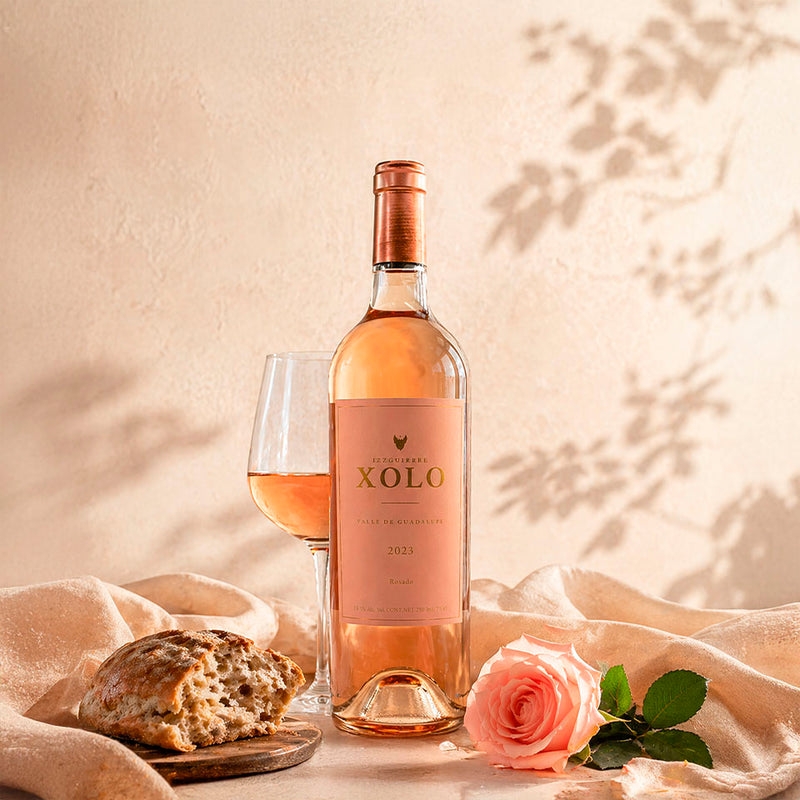 Vinosylicores.com