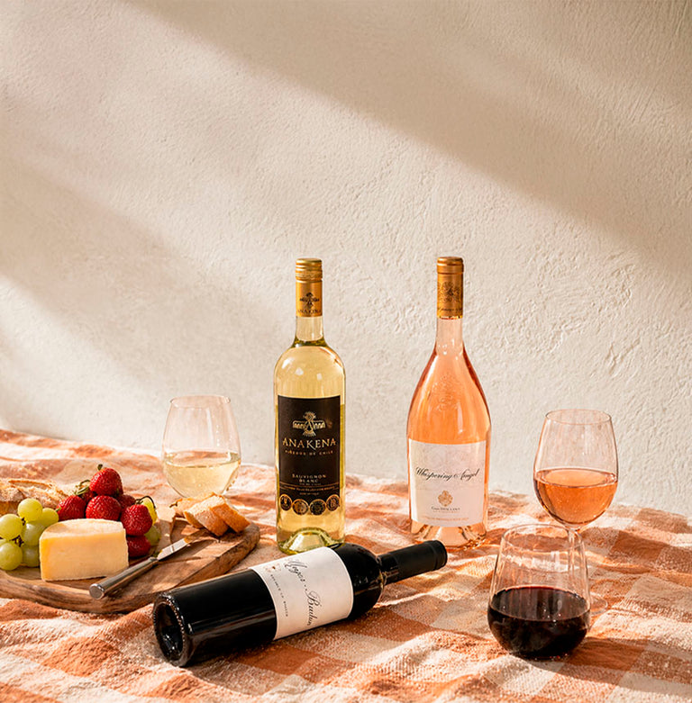 Vinosylicores.com