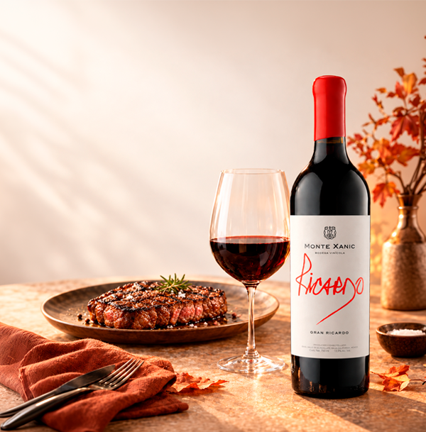 Vinosylicores.com