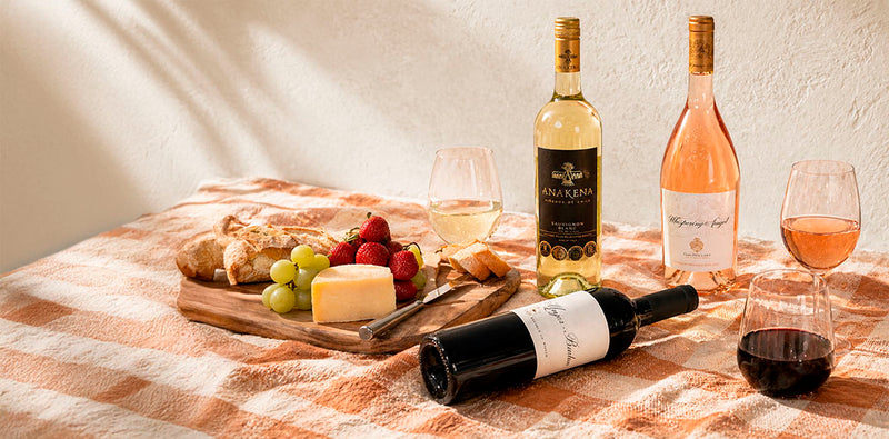 Vinosylicores.com