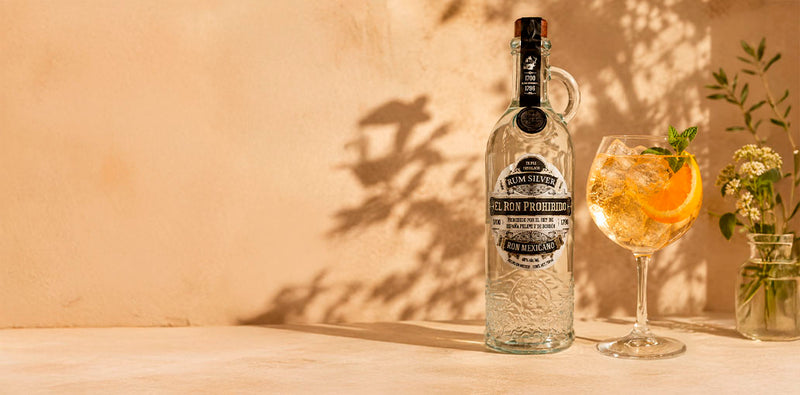 Vinosylicores.com