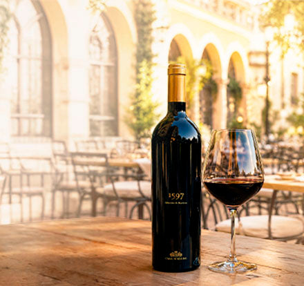 Vinosylicores.com