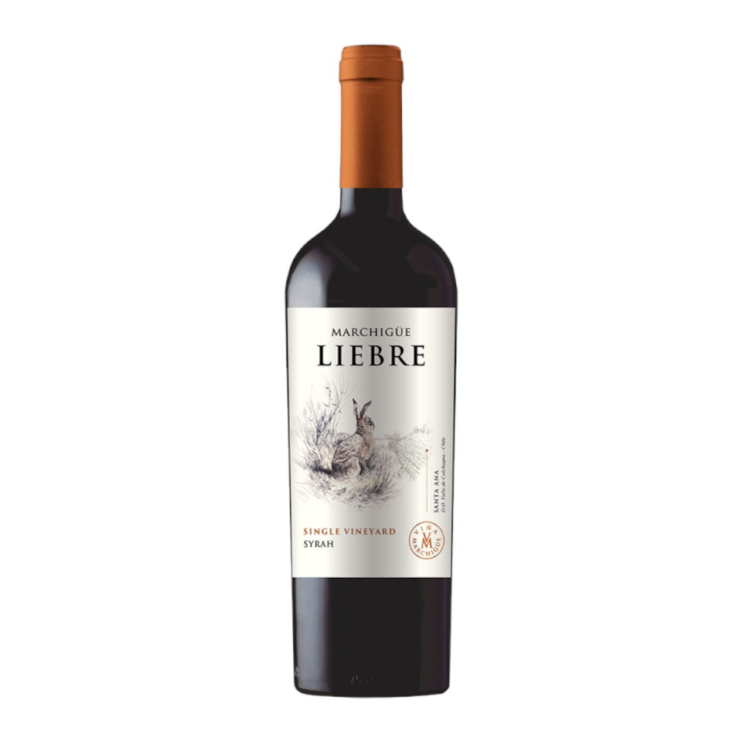 Vinosylicores.com