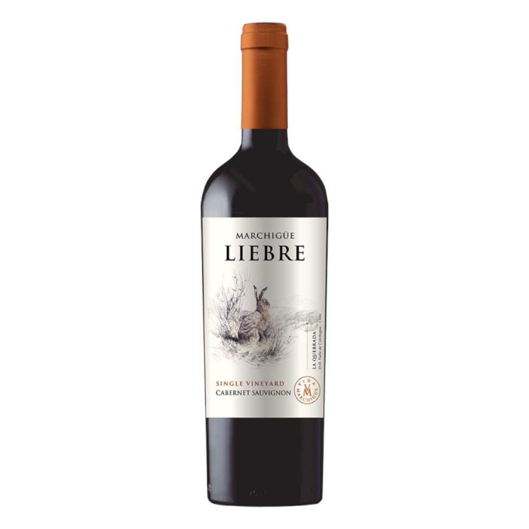 Vinosylicores.com