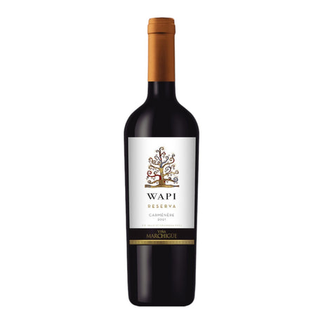 Vinosylicores.com