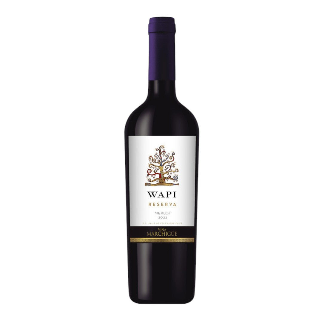 Vinosylicores.com