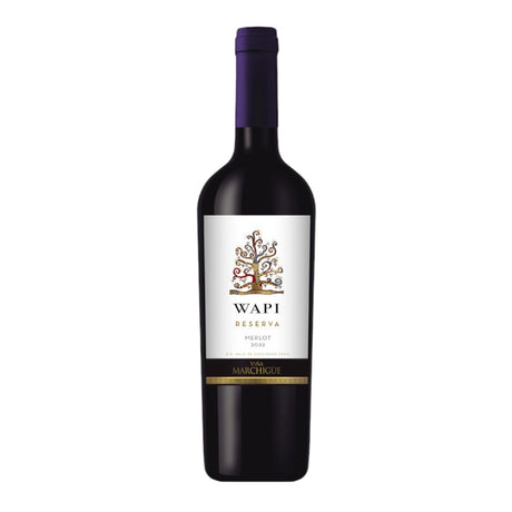 Vinosylicores.com